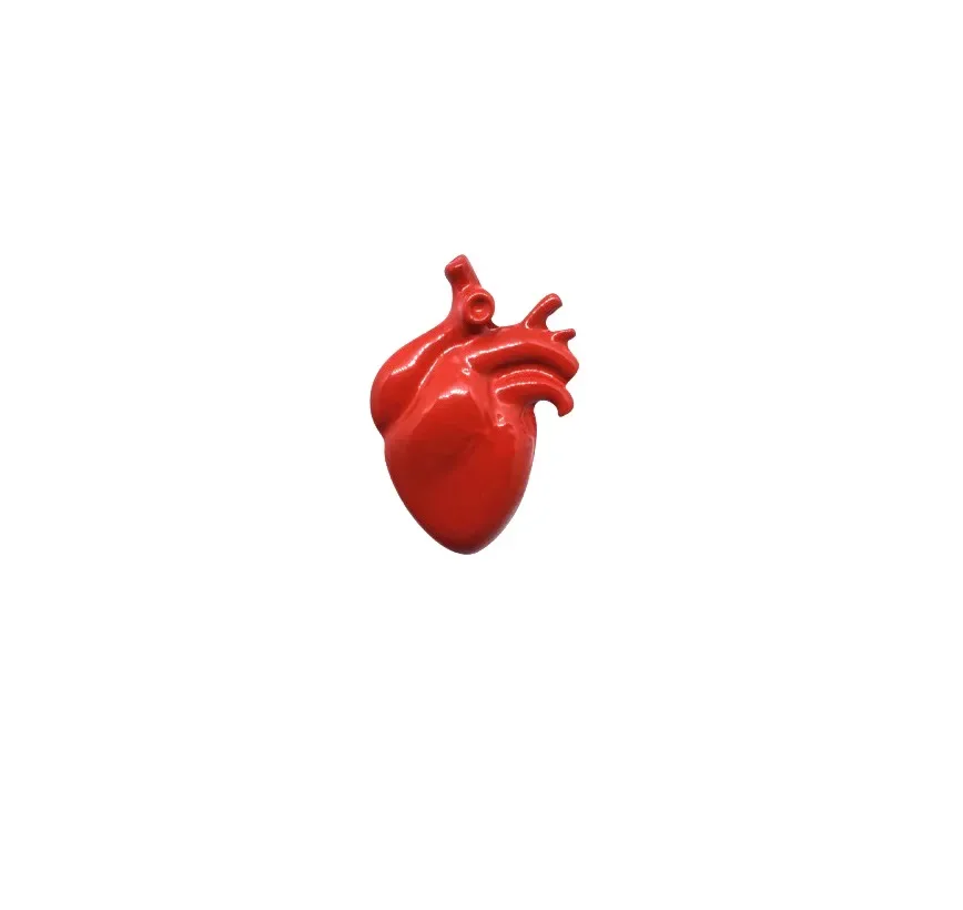 Pin De Metal Coração Anatômico Vermelho